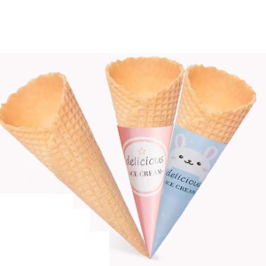 Bánh ốc quế (600) (Medium Size)